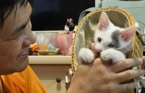 地震と豪雨災害を生き抜いた子猫ユスタちゃん〜愛と幸せの泣ける物語